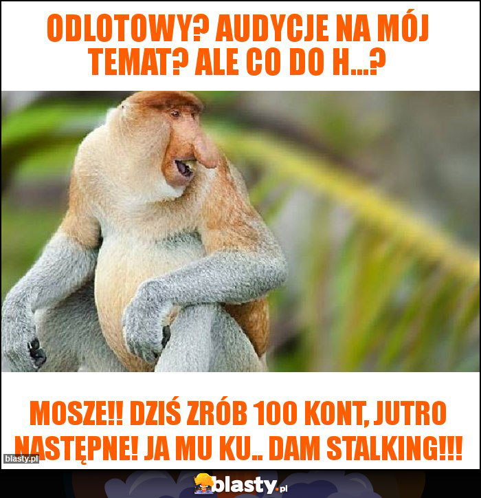 Odlotowy? Audycje na mój temat? Ale co do h...?