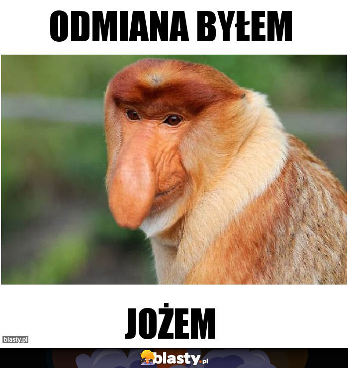 Odmiana byłem