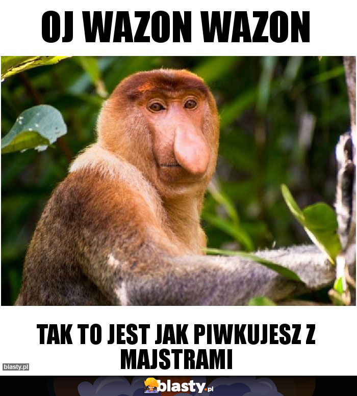 Oj wazon wazon