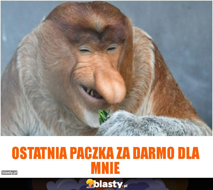 Ostatnia paczka za darmo dla mnie