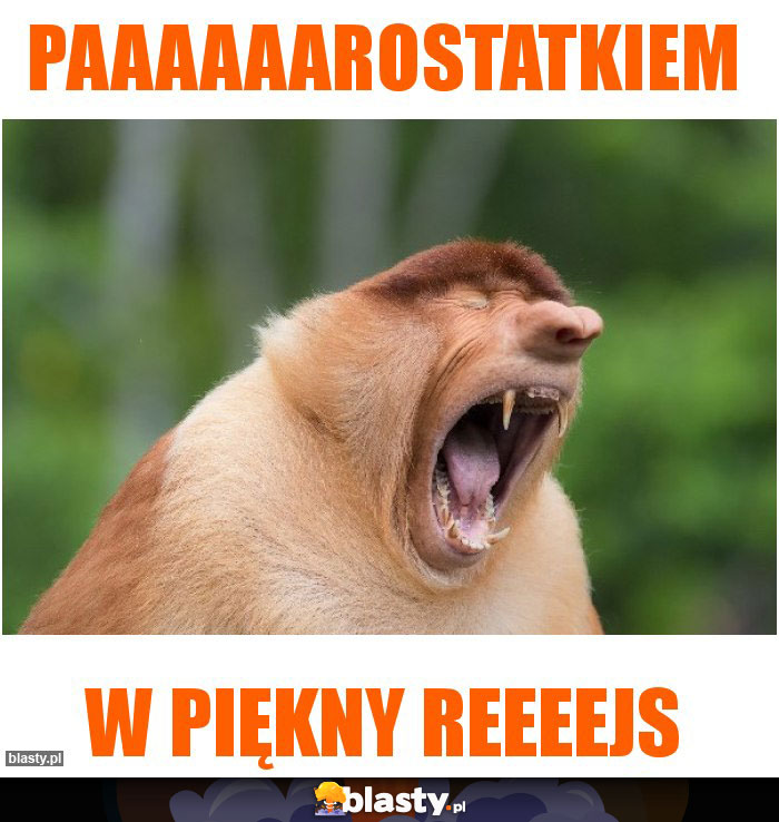 PAAAAAAROSTATKIEM