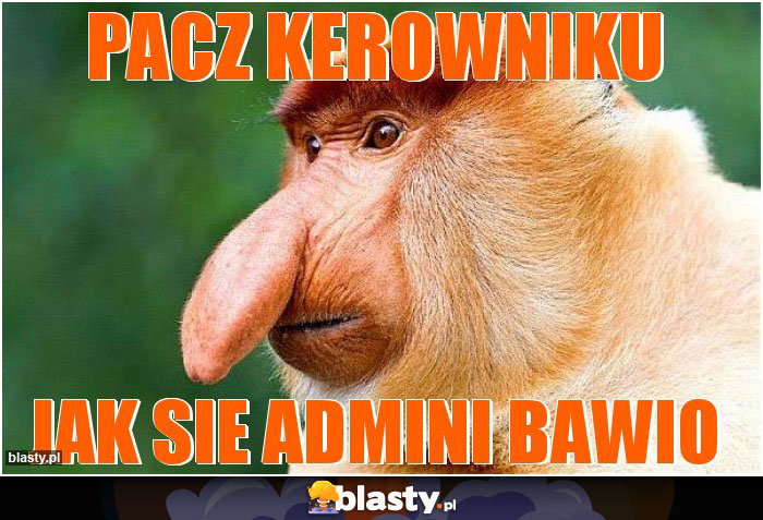 PACZ KEROWNIKU