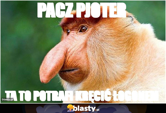 Pacz Pjoter