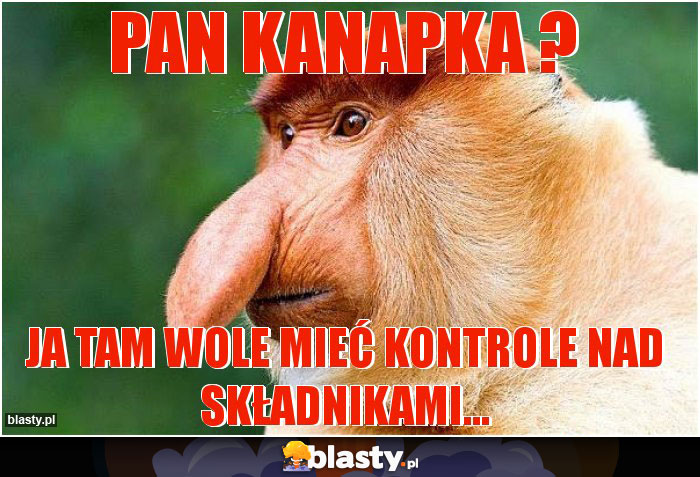 Pan Kanapka ?