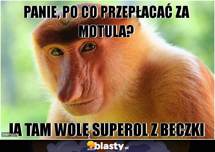 Panie, po co przepłacać za motula?