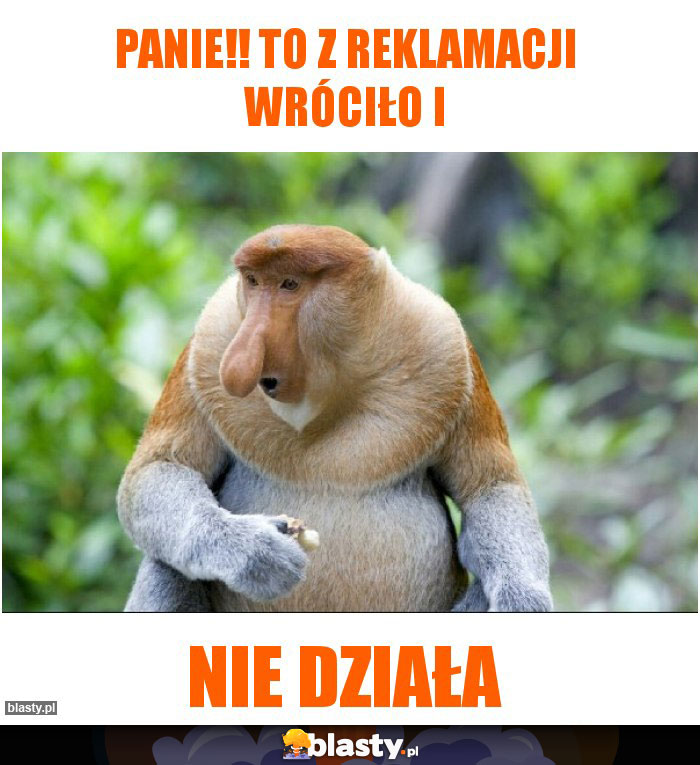 panie!! to z reklamacji wróciło i