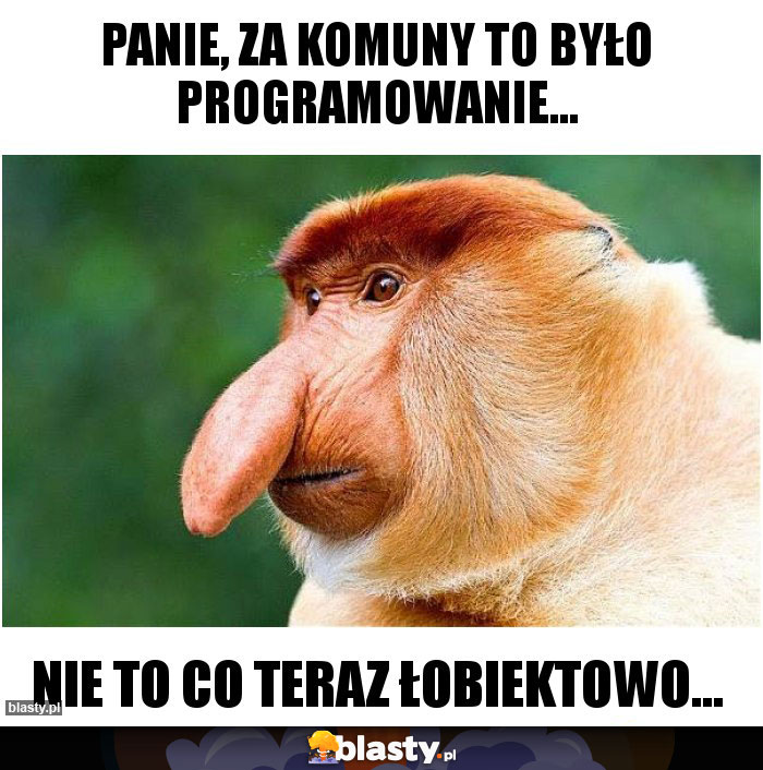 Panie, za komuny to było programowanie...