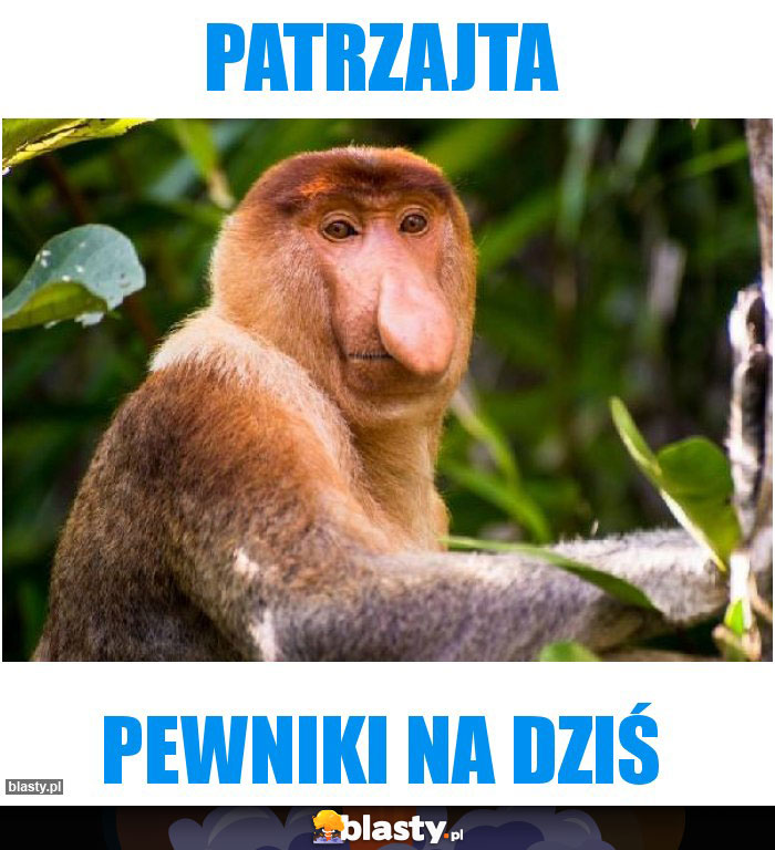 Patrzajta