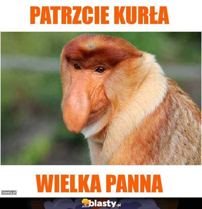 PATRZCIE KURŁA