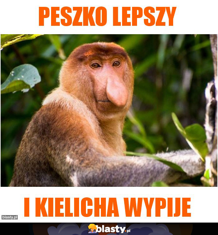 Peszko Lepszy