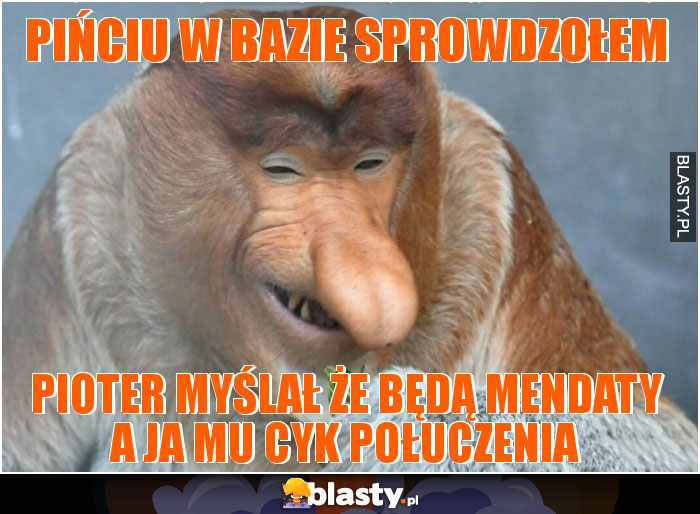 PiŃciu w bazie sprowdzołem