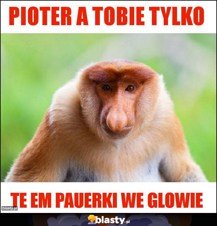 Pioter a Tobie tylko