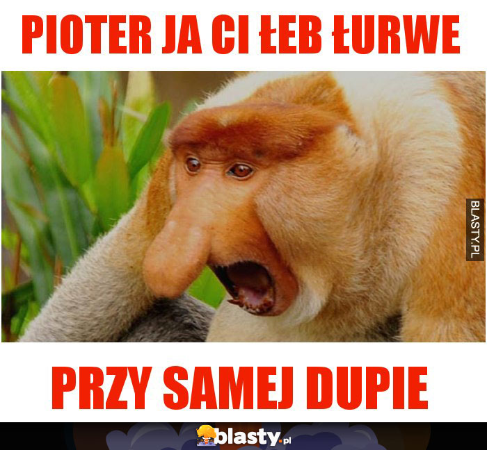 Pioter ja ci łeb łurwe