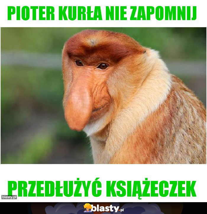 Pioter kurła nie zapomnij