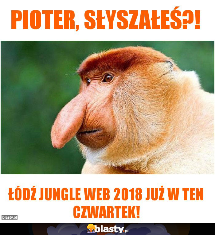 Pioter, słyszałeś?!