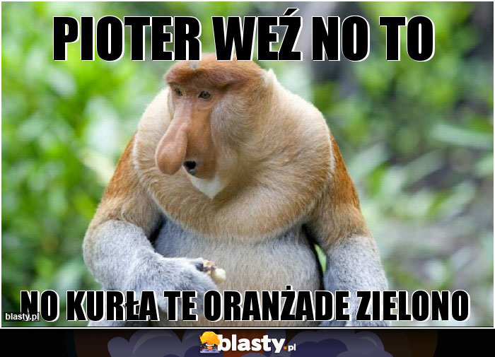 Pioter weź no to