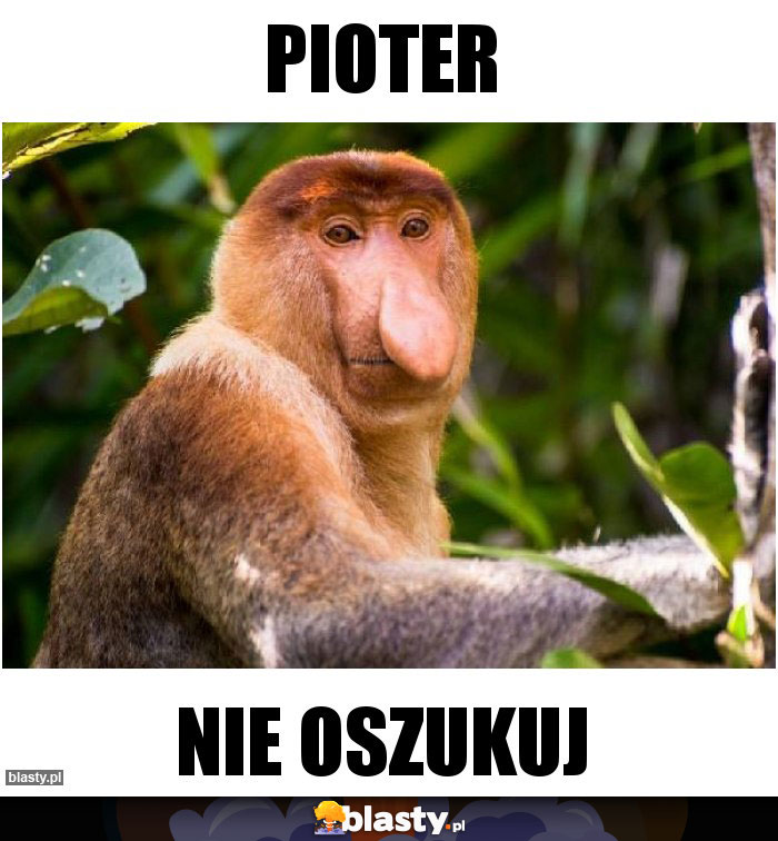 Pioter