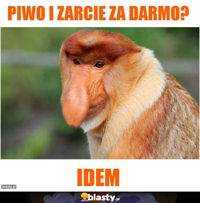 Piwo i zarcie za darmo?