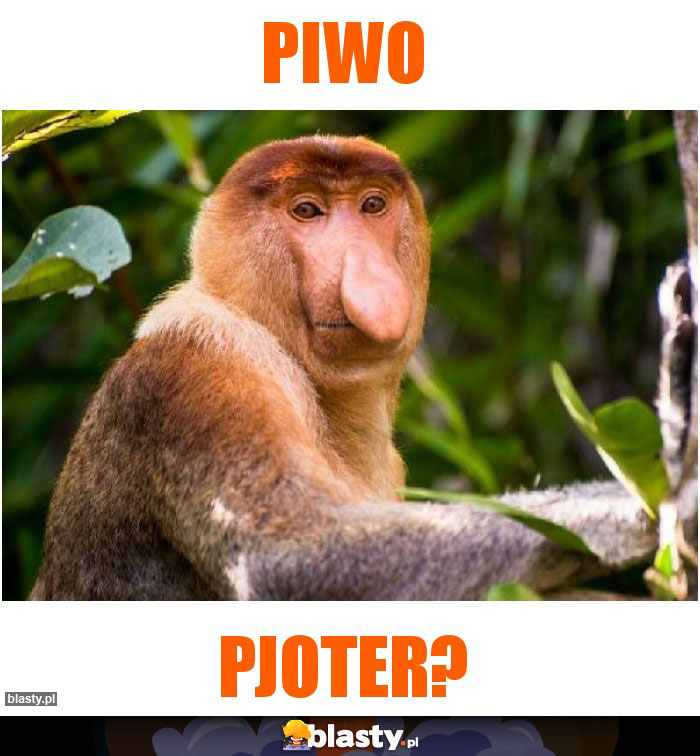 Piwo