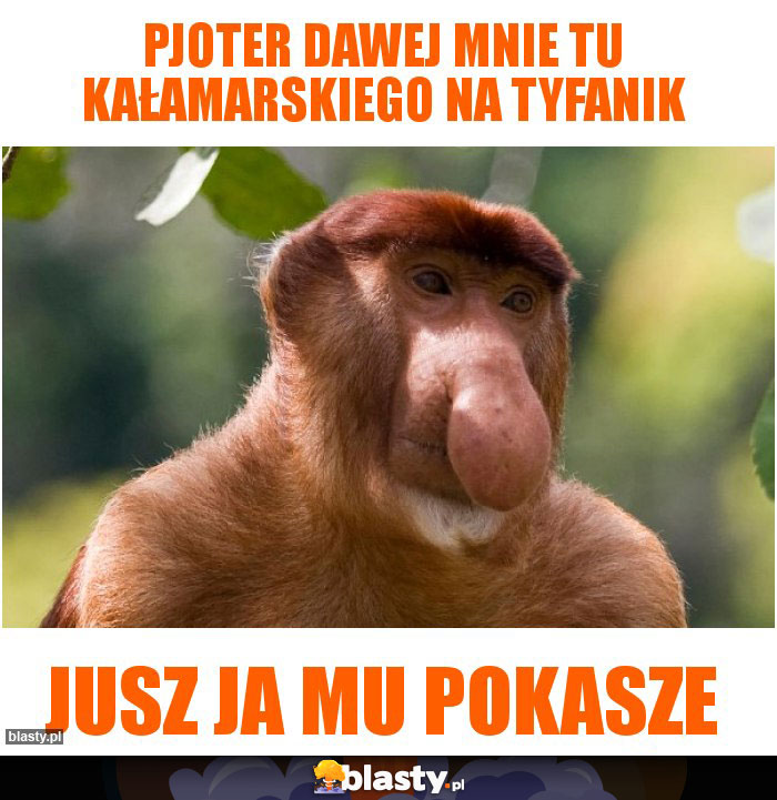 PJOTER DAWEJ MNIE TU KAŁAMARSKIEGO NA TYFANIK