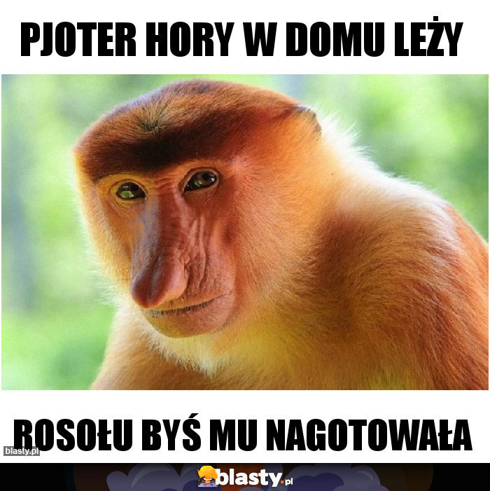 Pjoter hory w domu leży