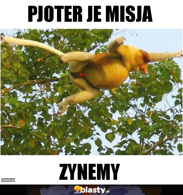 PJOTER JE MISJA