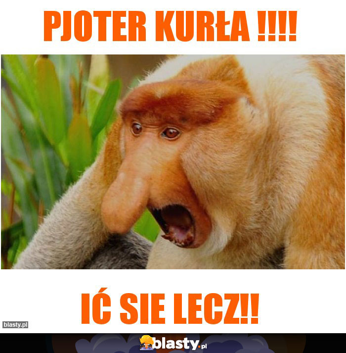 Pjoter kurła !!!!