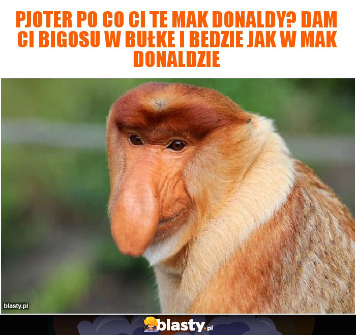 Pjoter po co ci te mak donaldy? Dam ci bigosu w bułke i bedzie jak w mak donaldzie