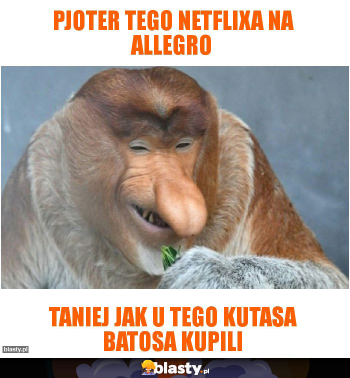 Pjoter tego Netflixa na allegro