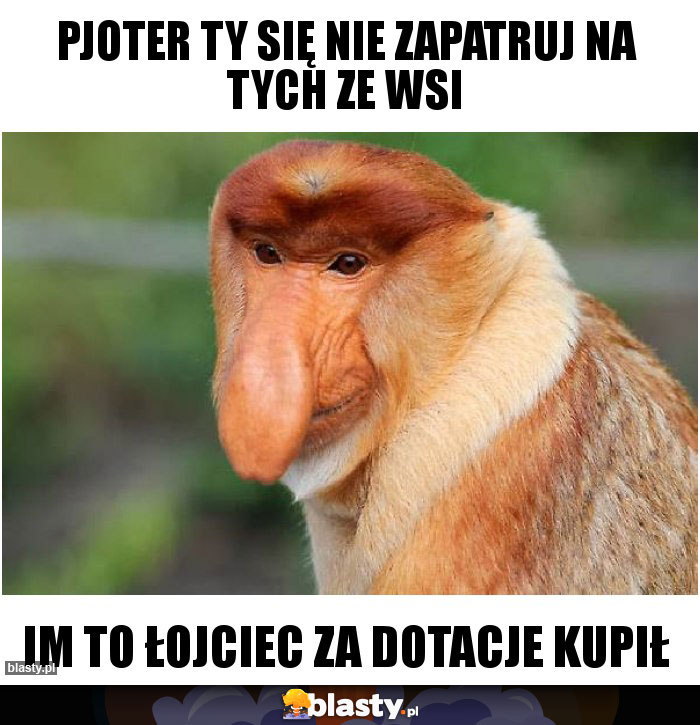 PJOTER TY SIĘ NIE ZAPATRUJ NA TYCH ZE WSI