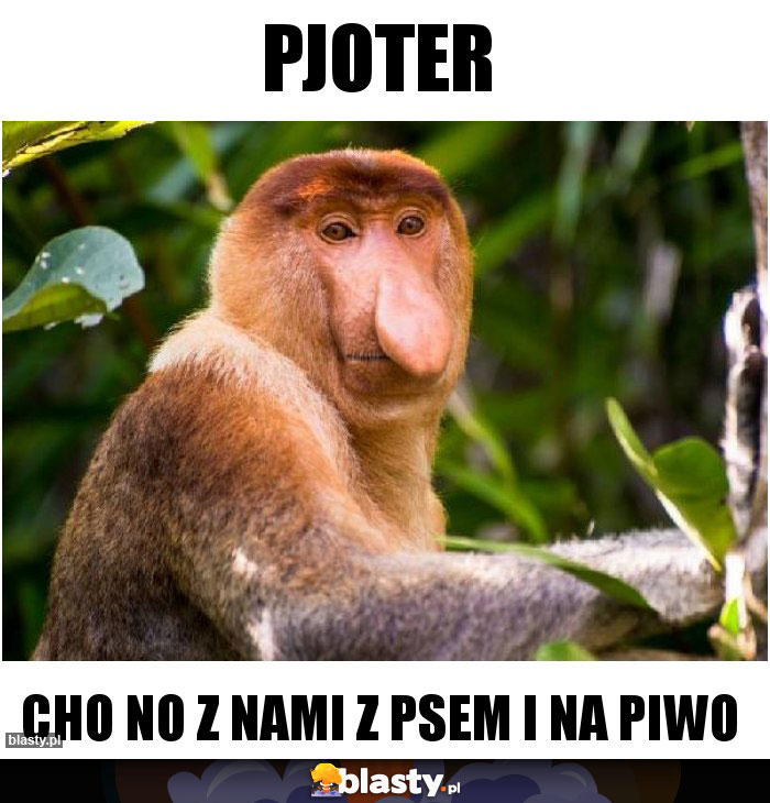 Pjoter