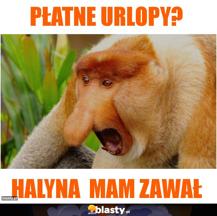 Płatne urlopy?