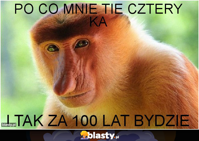 PO CO MNIE TIE CZTERY KA