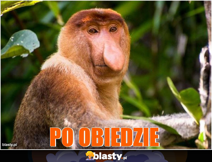 PO OBiedzie