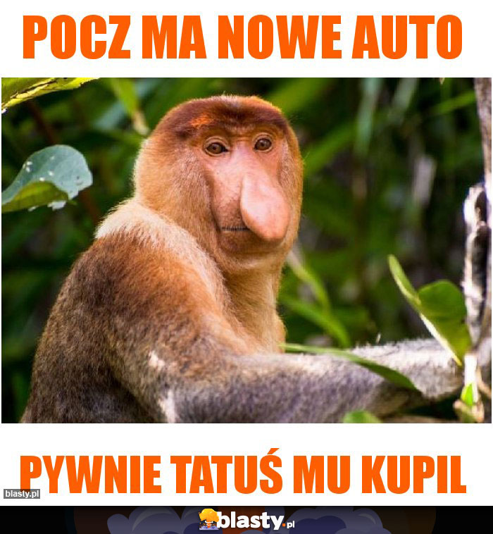 Pocz ma nowe auto