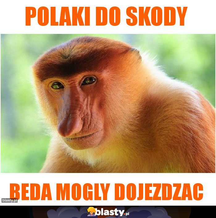 polaki do skody