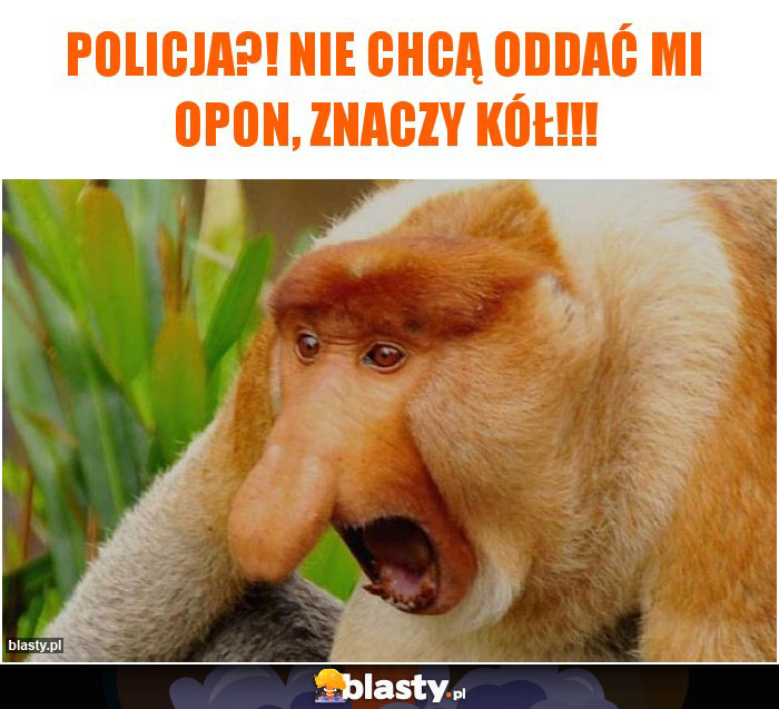 Policja?! Nie chcą oddać mi opon, znaczy kół!!!