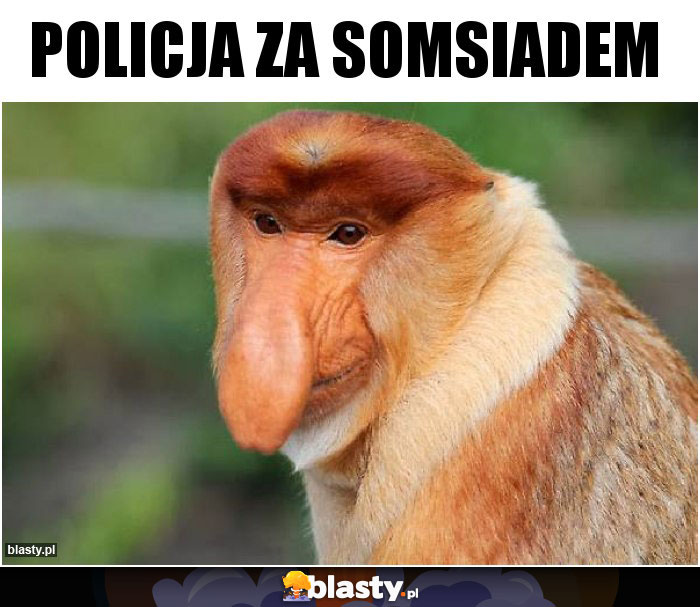 Policja za somsiadem