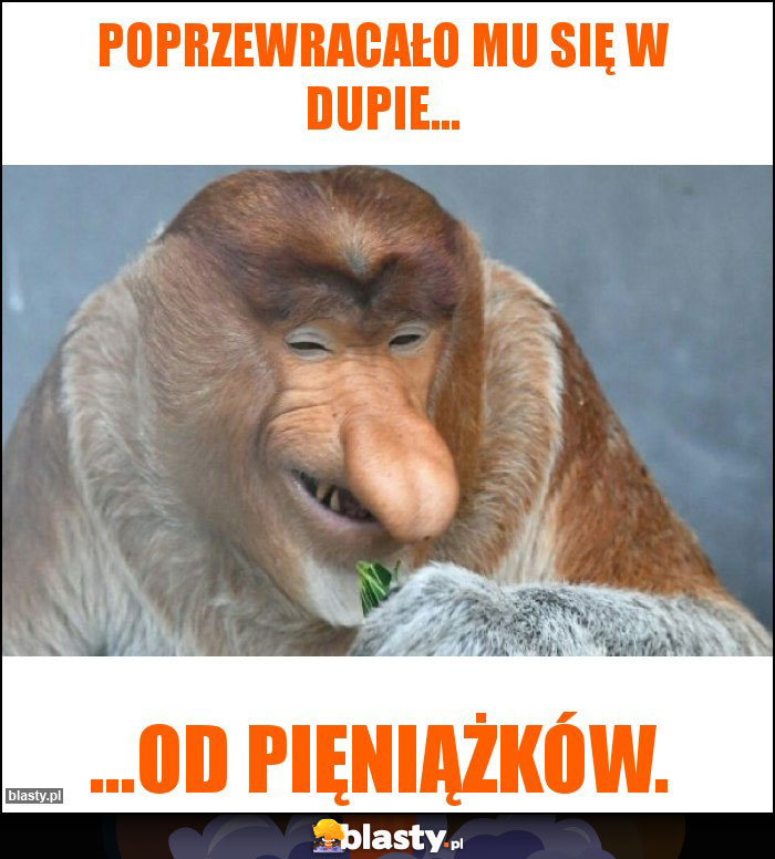 Poprzewracało mu się w dupie...