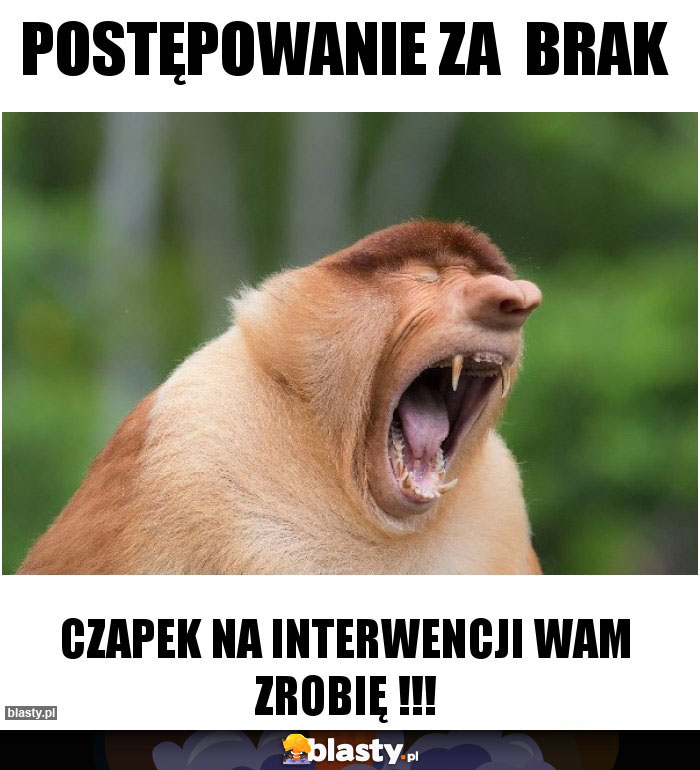 Postępowanie za  brak