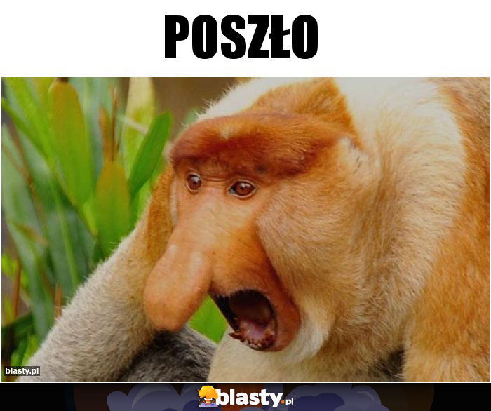 Poszło