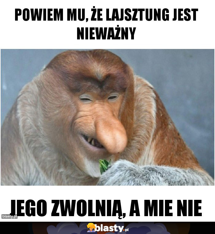 Powiem mu, że lajsztung jest nieważny