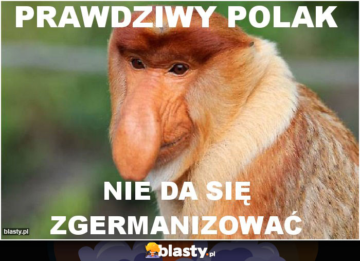 prawdziwy polak