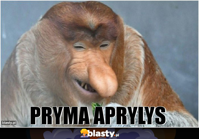 PRYMA APRYLYS