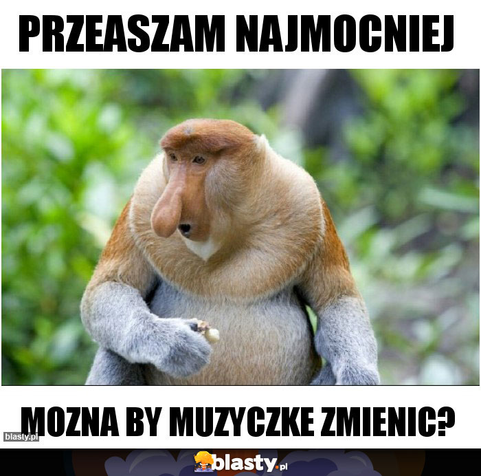 przeaszam najmocniej