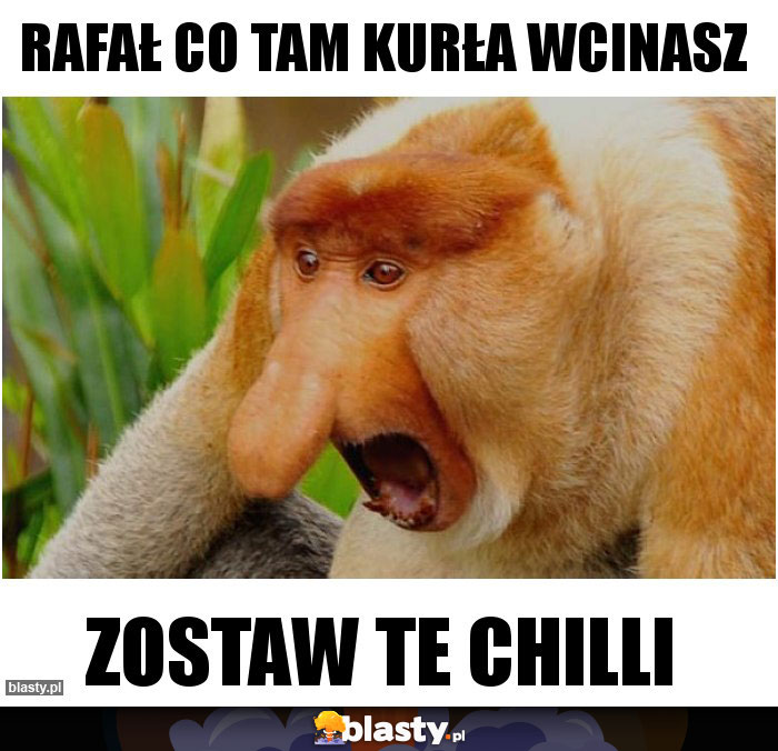 Rafał co tam kurła wcinasz