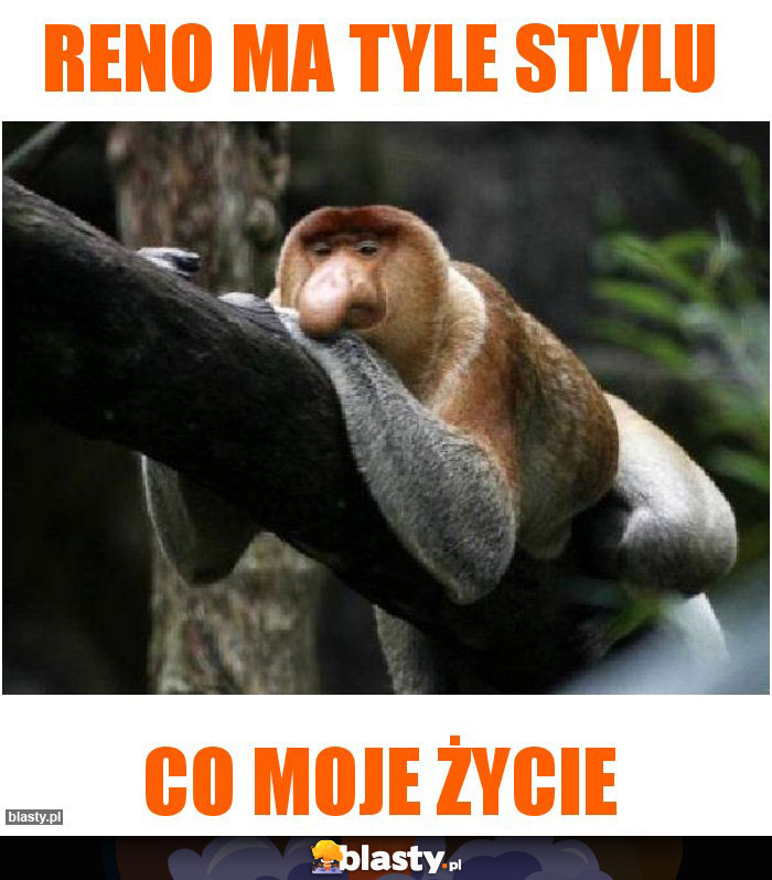 reno ma tyle stylu