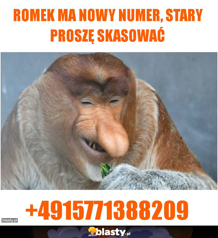 Romek ma nowy numer, stary proszę skasować