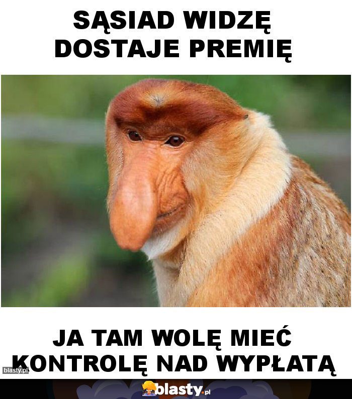 Sąsiad widzę dostaje premię