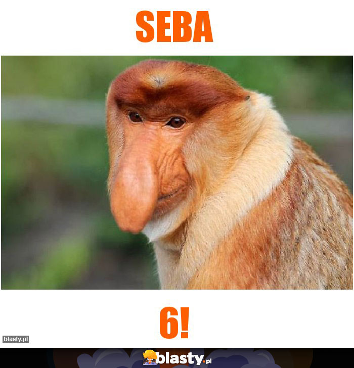 Seba